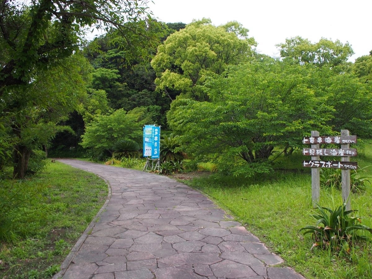 f:id:morinokotabi:20190616143242j:plain f:id:morinokotabi:20190616143242j:plain