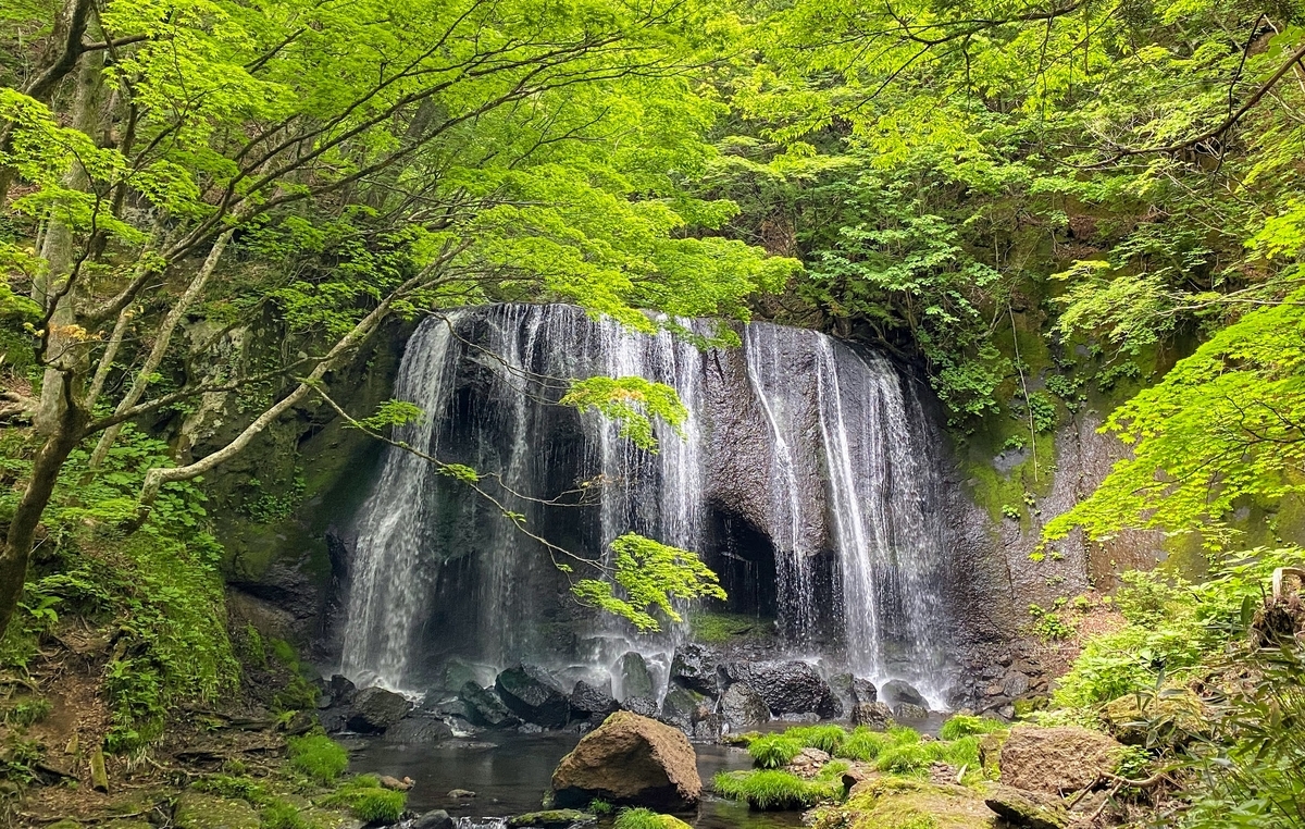 f:id:morinokotabi:20211208212854j:plain