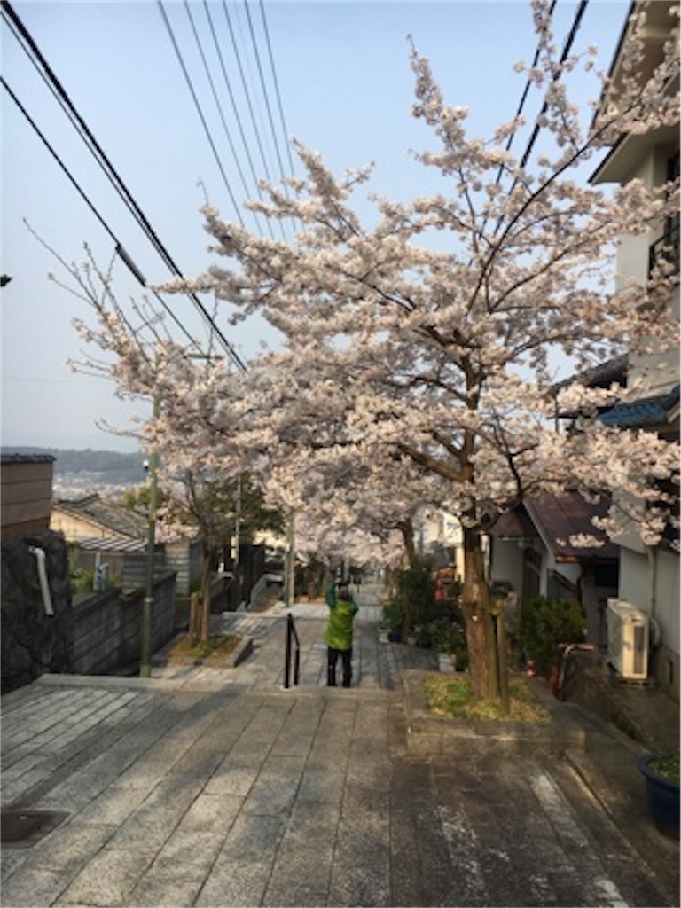 f:id:morinoniwatorisan:20190407172647j:image f:id:morinoniwatorisan:20190407172647j:image
