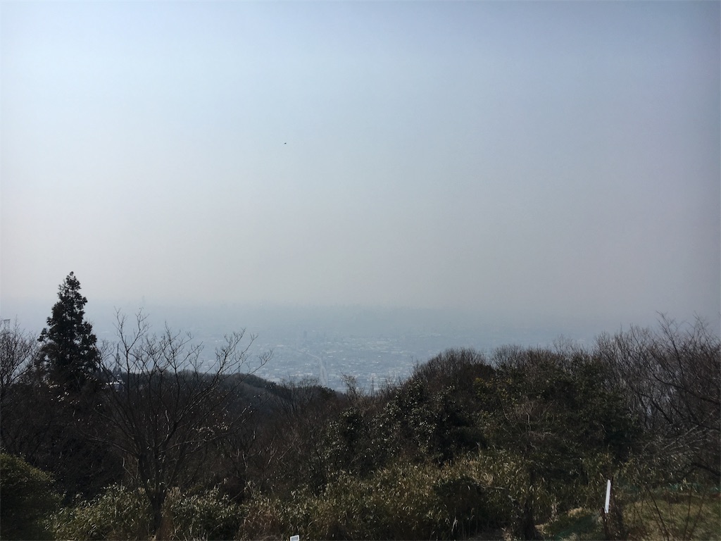 f:id:morinoniwatorisan:20190407192512j:image f:id:morinoniwatorisan:20190407192512j:image