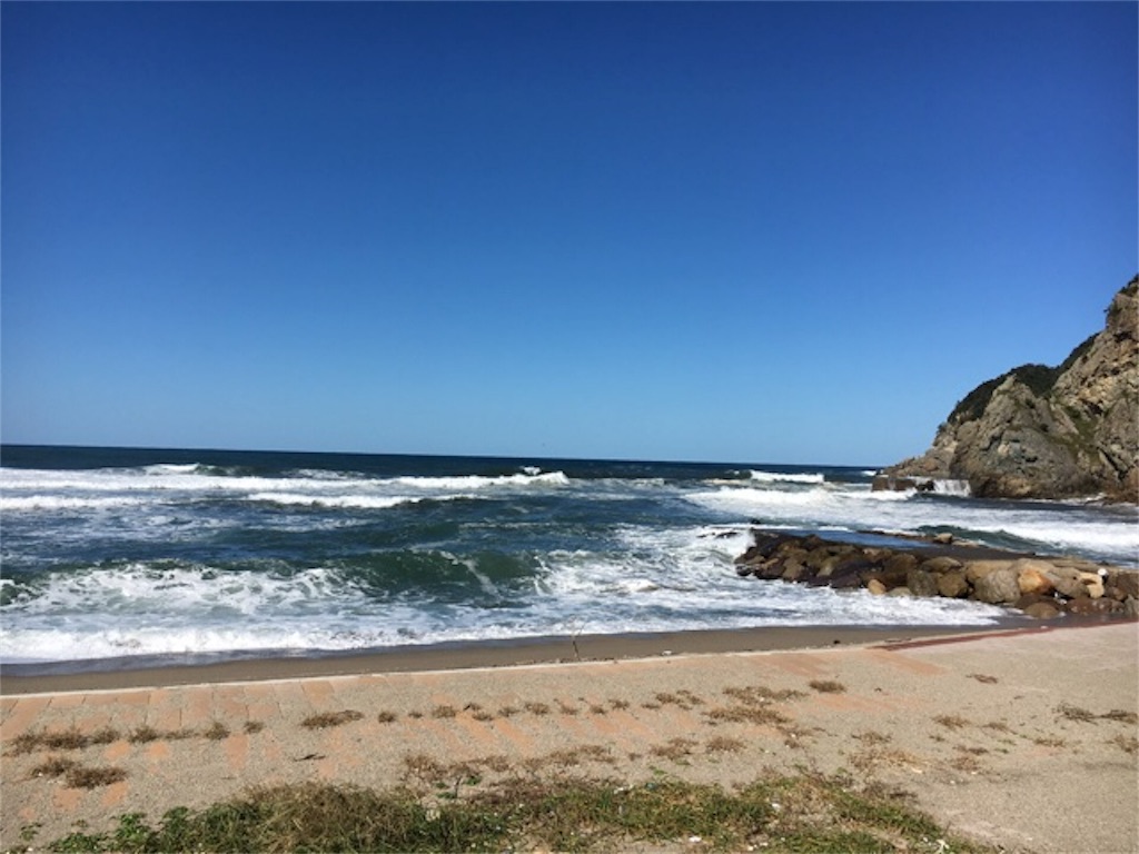 f:id:morinoniwatorisan:20191011234611j:image