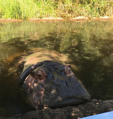 f:id:morinoniwatorisan:20200929003840j:plain