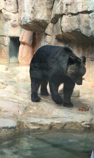 f:id:morinoniwatorisan:20200929003847j:plain