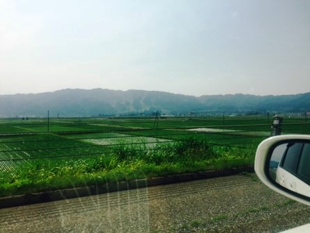 f:id:morinosizukuceo:20170122143958j:plain f:id:morinosizukuceo:20170122143958j:plain