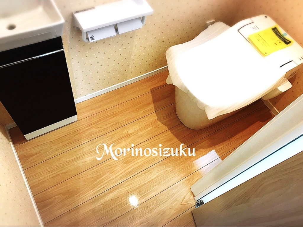 f:id:morinosizukuceo:20170705163638j:plain