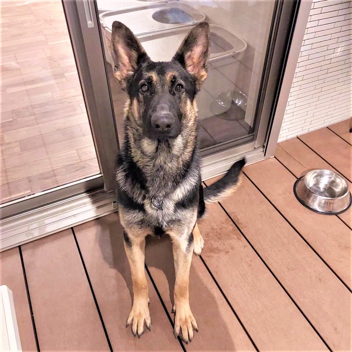 f:id:morinosizukuceo:20220223130150j:plain