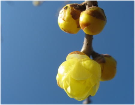 f:id:morinui:20090222085708j:image f:id:morinui:20090222085708j:image