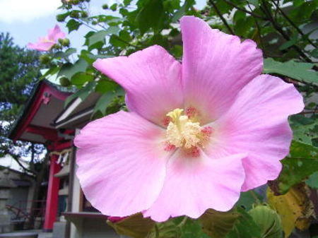 f:id:morinui:20101002205359j:image f:id:morinui:20101002205359j:image