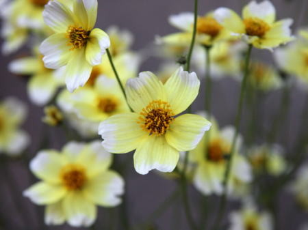 f:id:morinui:20101015185906j:image f:id:morinui:20101015185906j:image