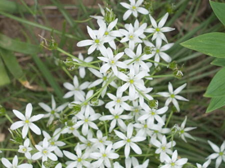 f:id:morinui:20101028214359j:image f:id:morinui:20101028214359j:image