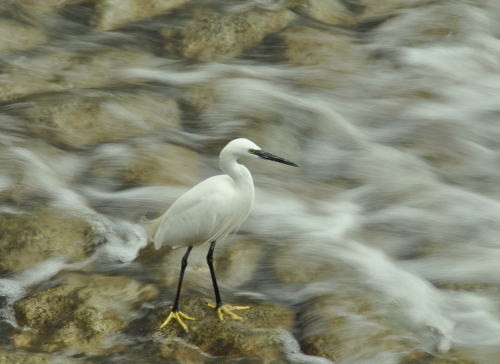 f:id:morinui:20131030144533j:image f:id:morinui:20131030144533j:image