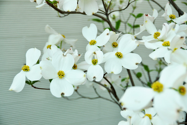 f:id:morinui:20140424145043j:image f:id:morinui:20140424145043j:image