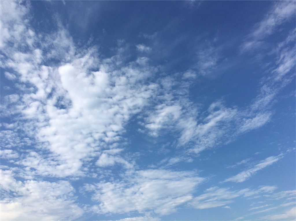 f:id:moripoo8107:20181001134732j:image