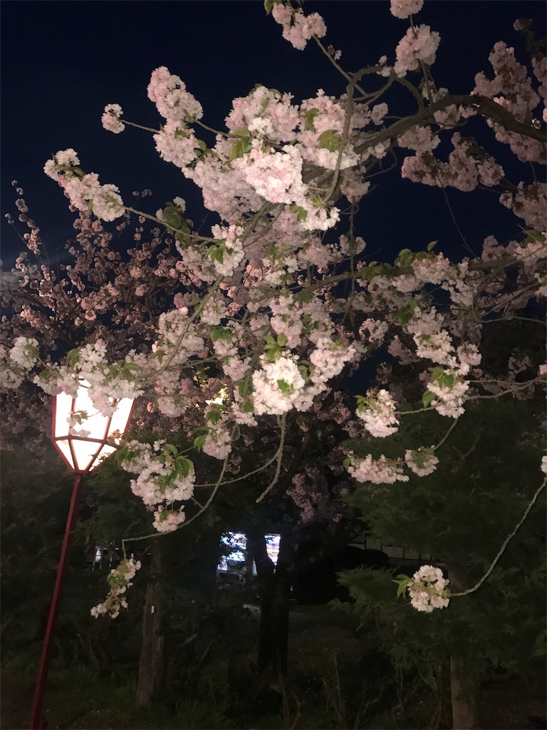 f:id:morisakitaku:20170507224301j:image f:id:morisakitaku:20170507224301j:image