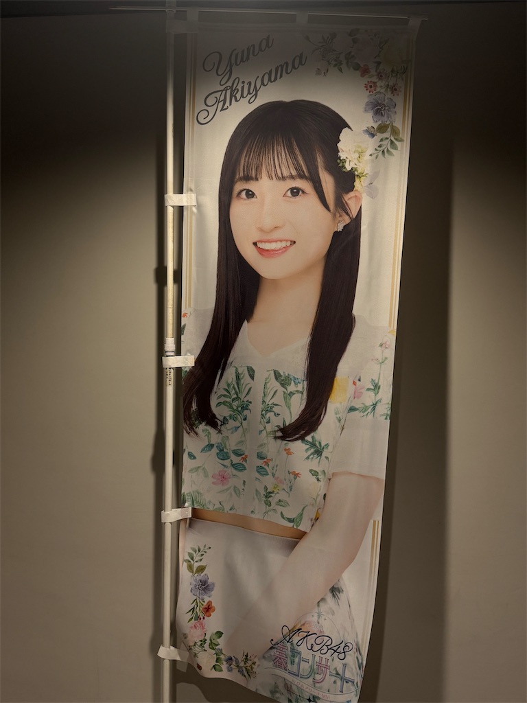 f:id:morisakitaku:20240317234115j:image