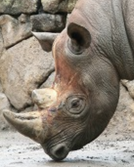 f:id:moritanian:20170926151527p:plain:w160 f:id:moritanian:20170926151527p:plain:w160