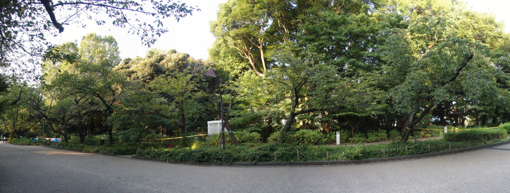 f:id:moritarou3:20171009084530j:plain