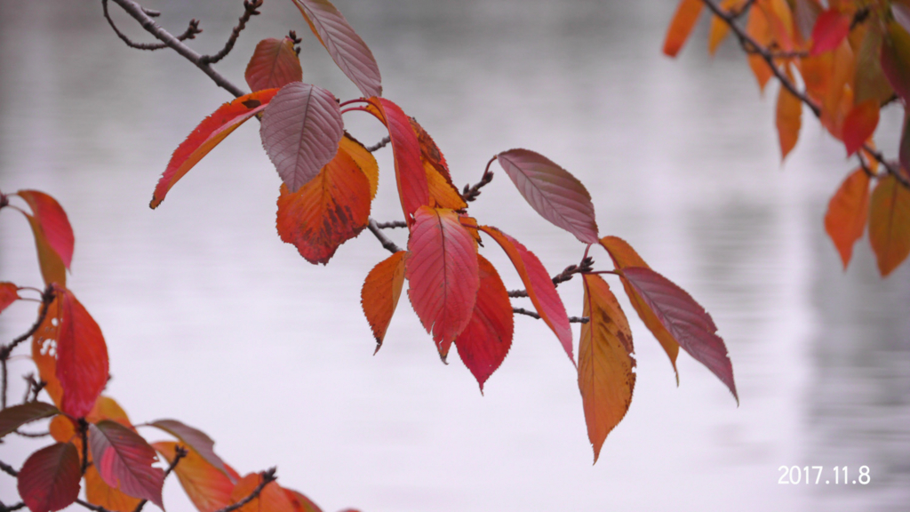 f:id:moritarou3:20171109123513j:plain