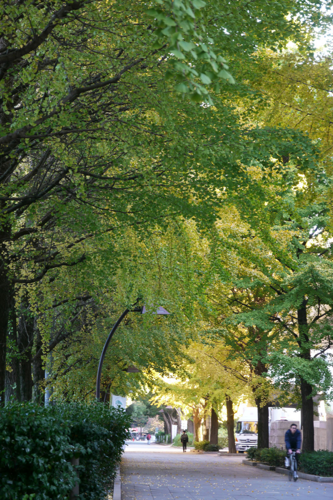 f:id:moritarou3:20171116234540j:plain