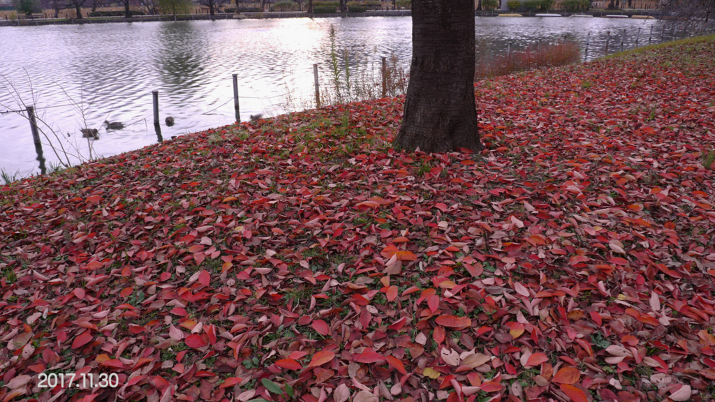 f:id:moritarou3:20171201005441j:plain