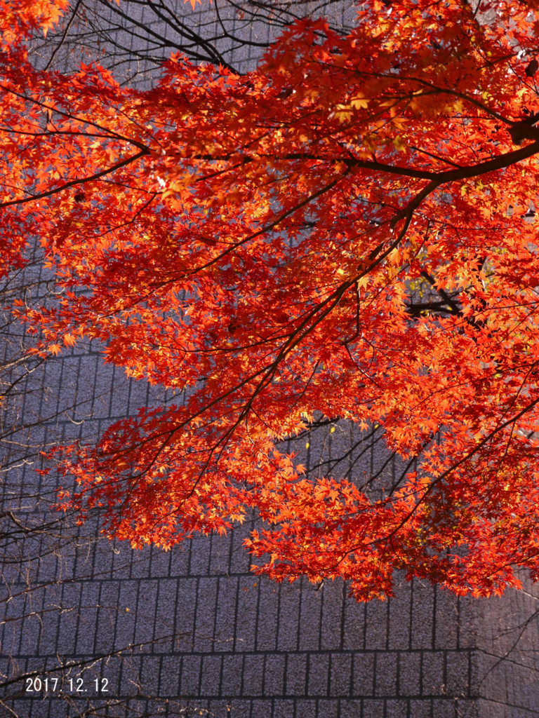 f:id:moritarou3:20171213002649j:plain