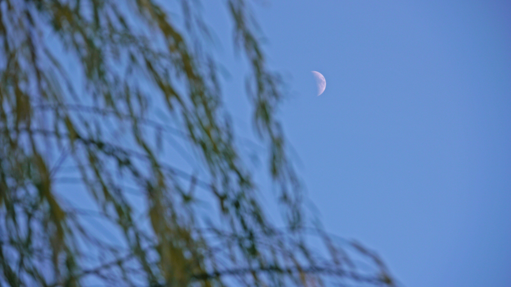 f:id:moritarou3:20171225205532j:plain