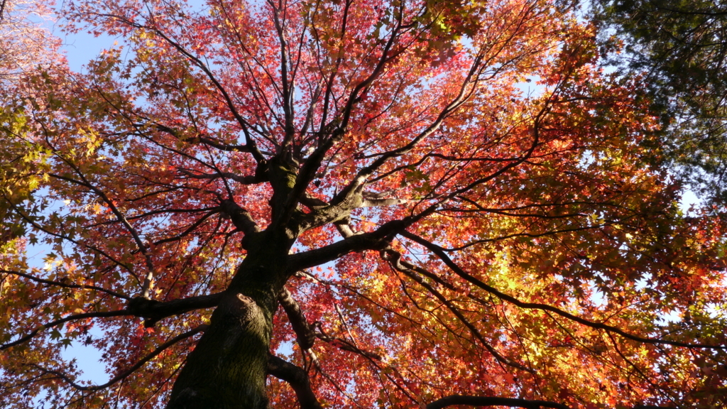 f:id:moritarou3:20171225210202j:plain