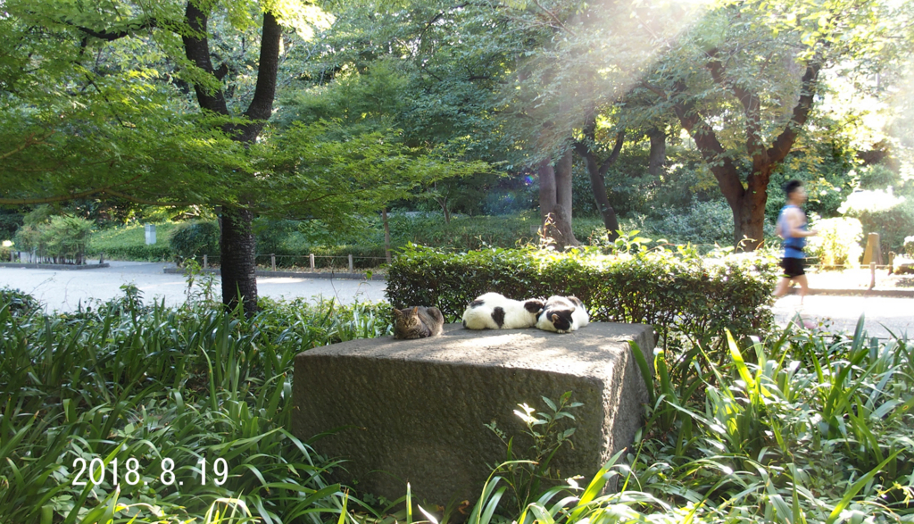 f:id:moritarou3:20180820000239j:plain