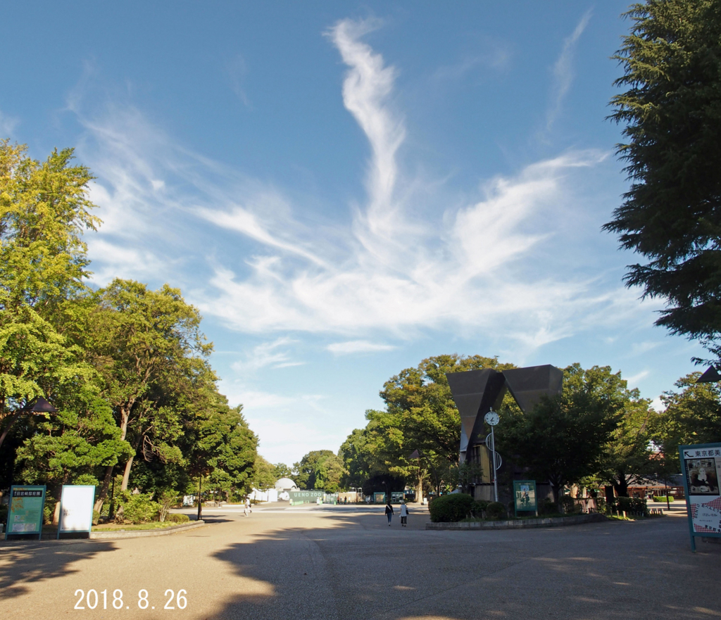 f:id:moritarou3:20180826215045j:plain
