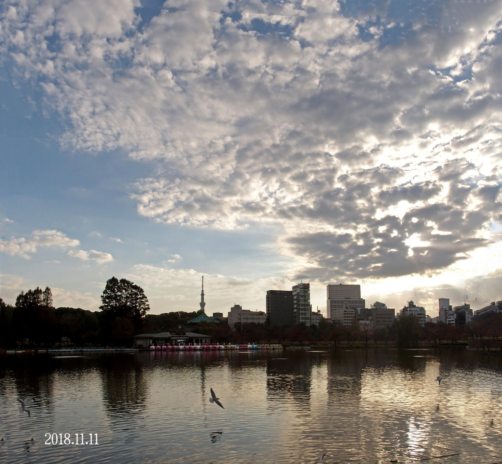 f:id:moritarou3:20181111214850j:plain