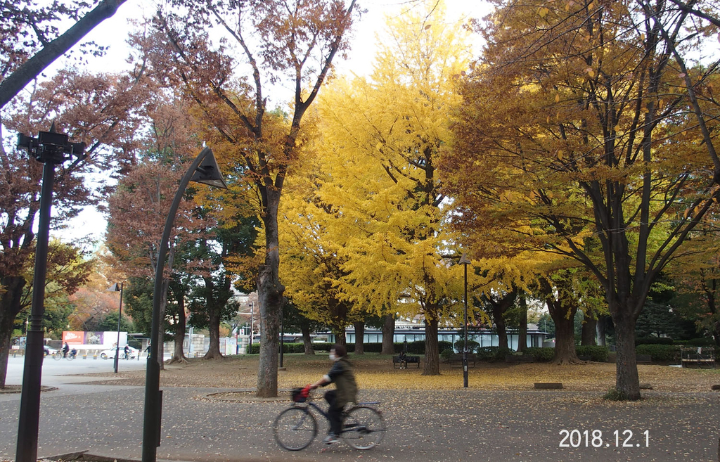f:id:moritarou3:20181202005611j:plain