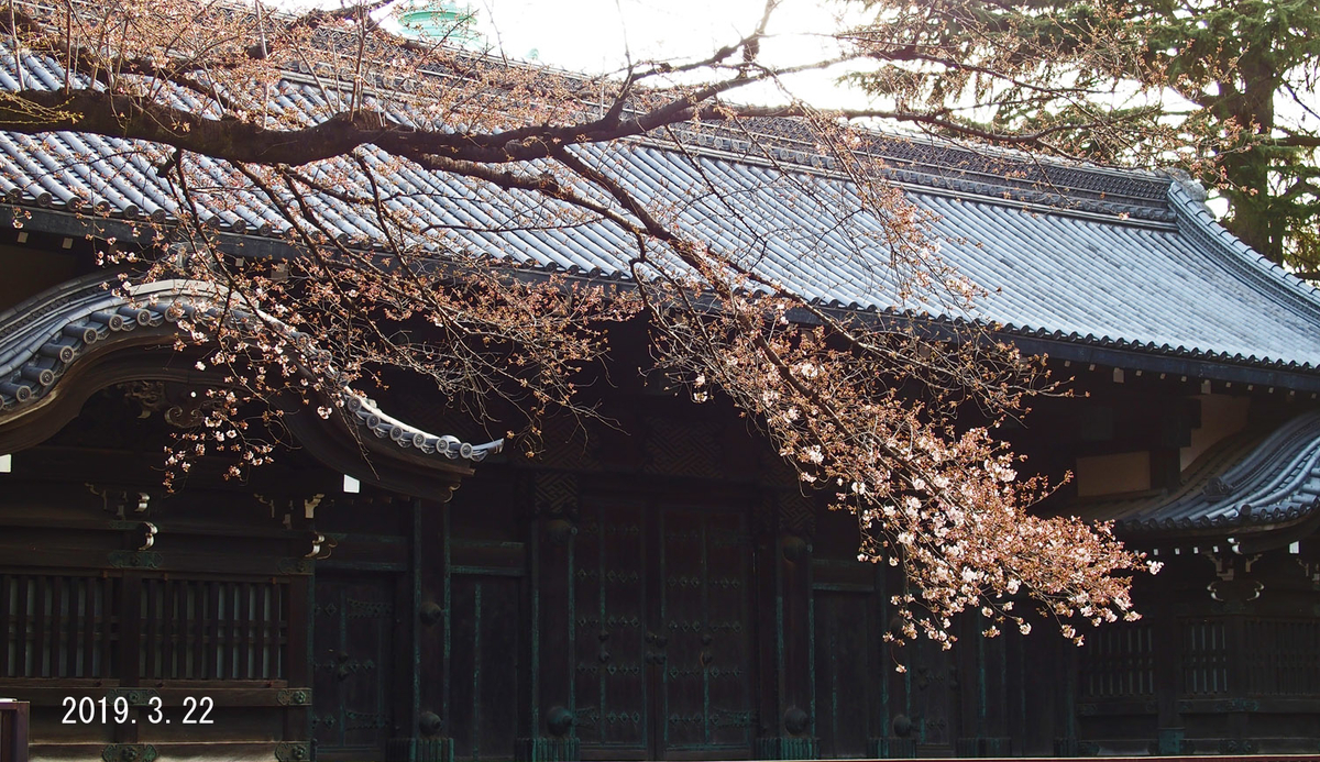 f:id:moritarou3:20190323003218j:plain