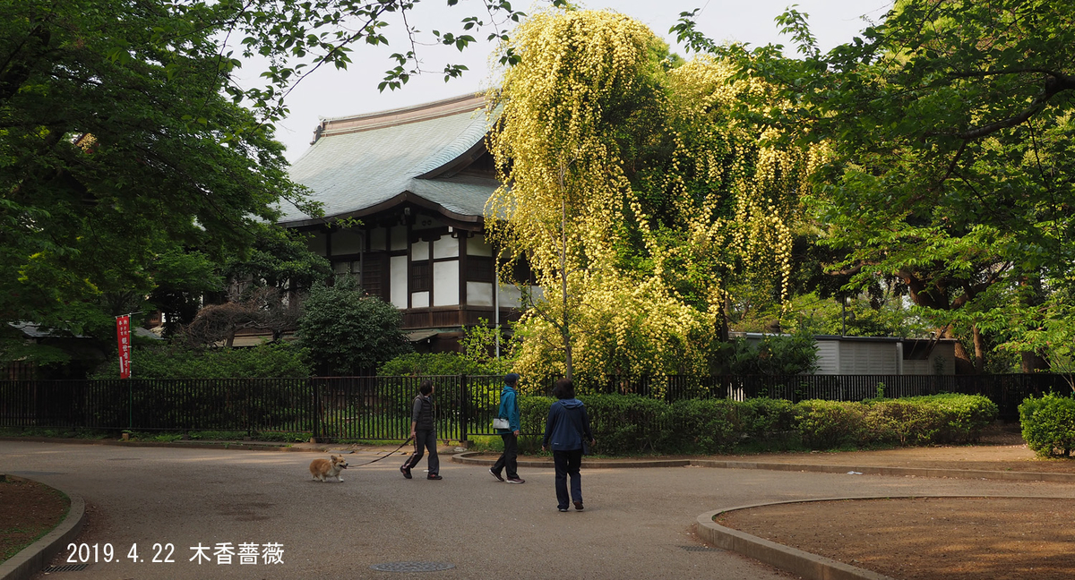 f:id:moritarou3:20190505151029j:plain