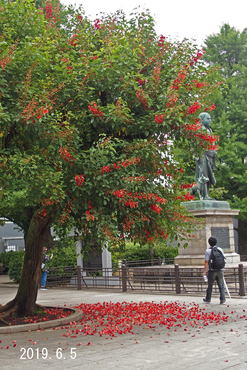 f:id:moritarou3:20190613204040j:plain