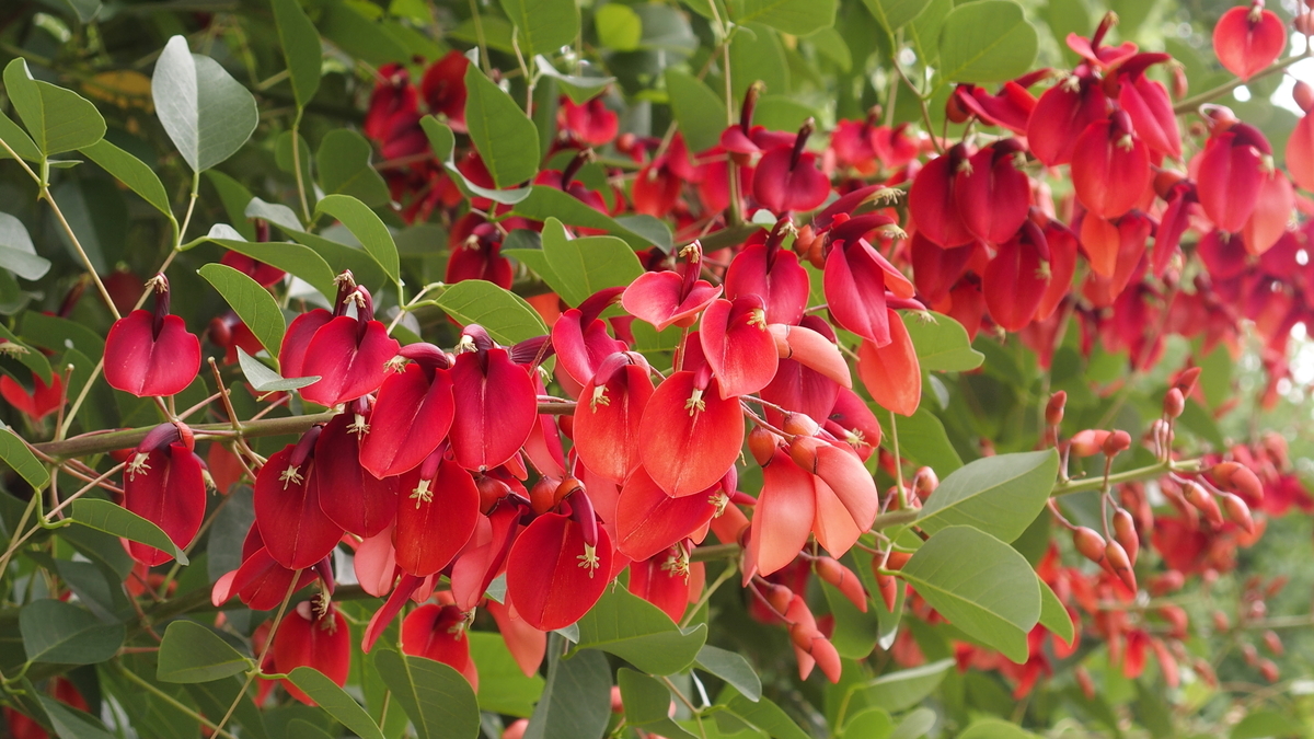 f:id:moritarou3:20190613204111j:plain