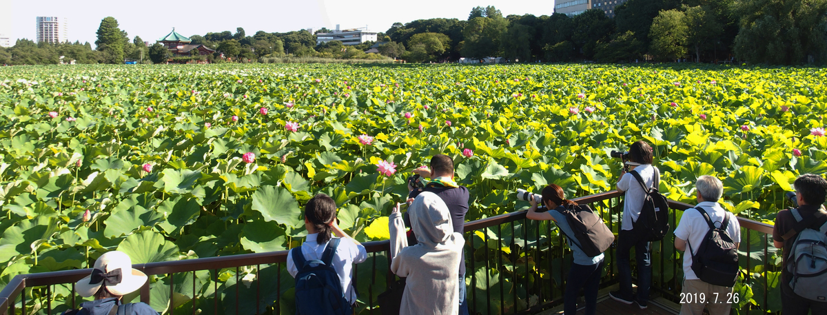 f:id:moritarou3:20190727235431j:plain
