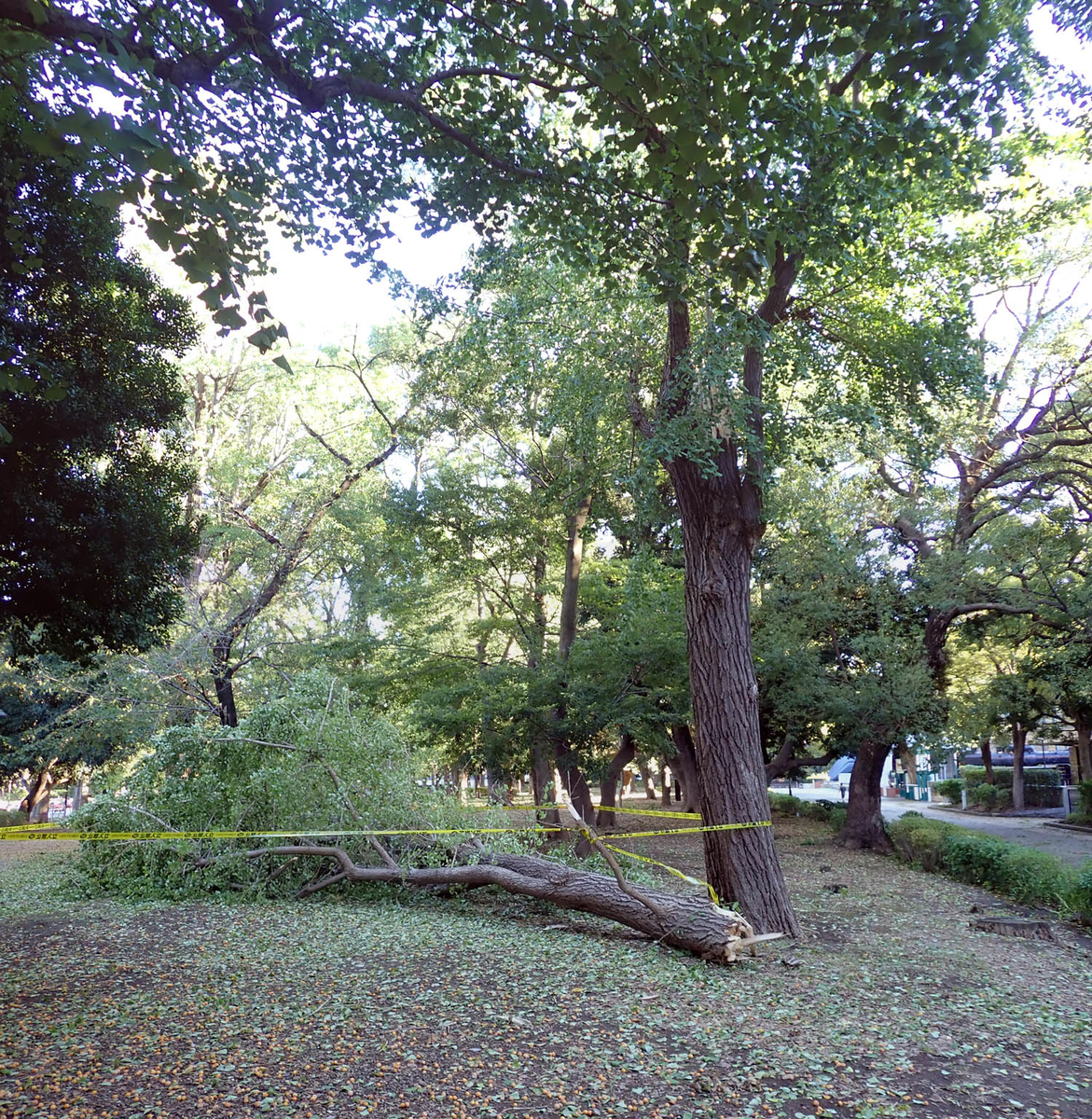 f:id:moritarou3:20191013224640j:plain