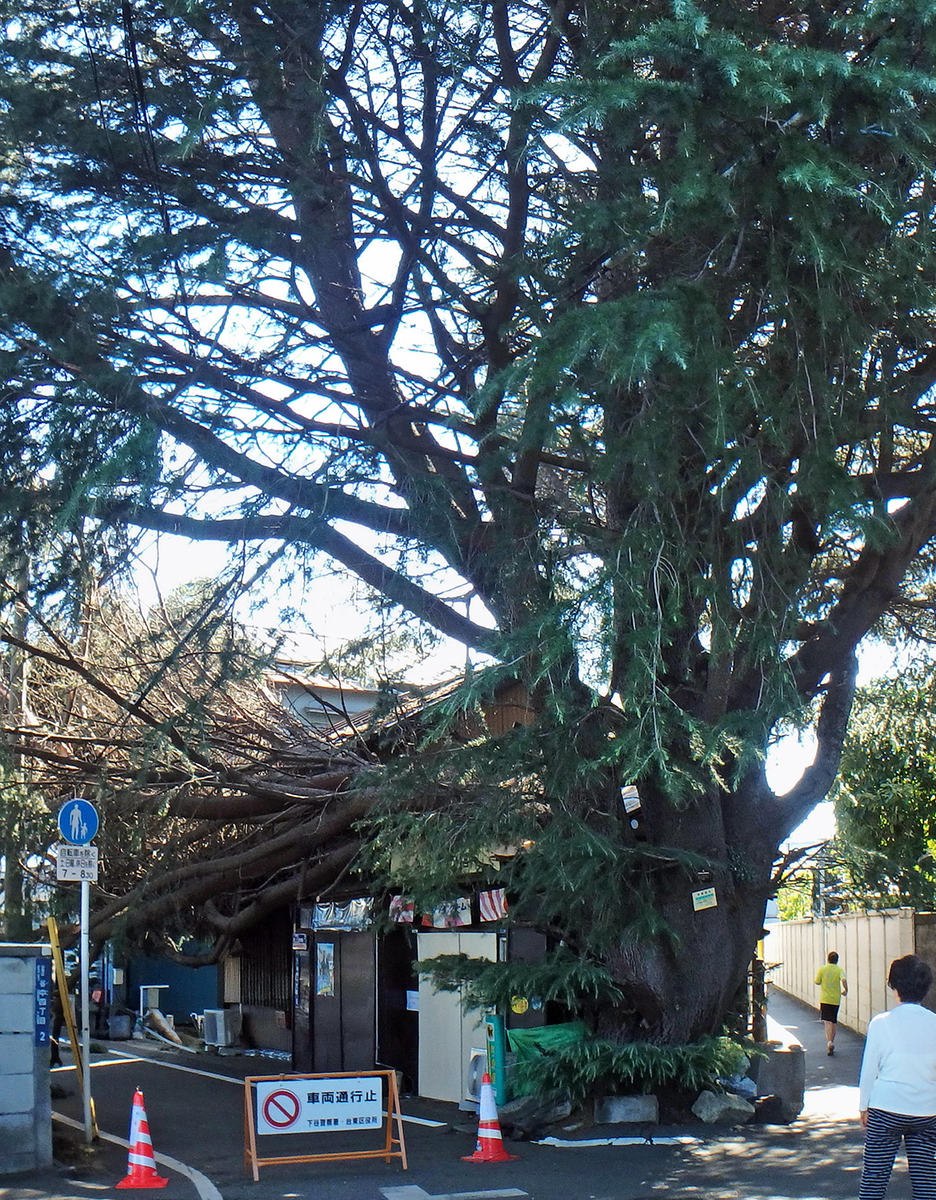f:id:moritarou3:20191013224827j:plain