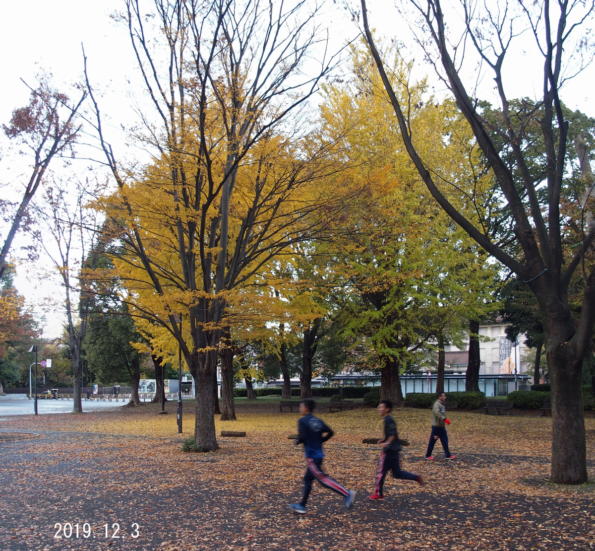 f:id:moritarou3:20191205172058j:plain