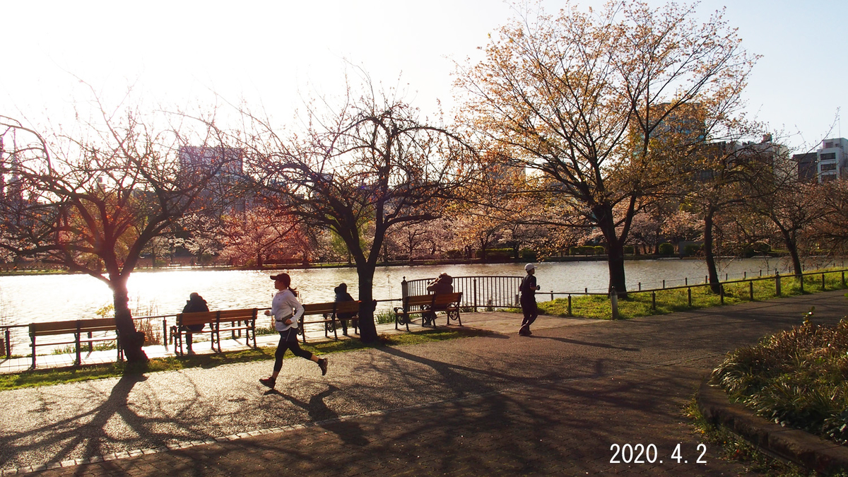 f:id:moritarou3:20200402224538j:plain