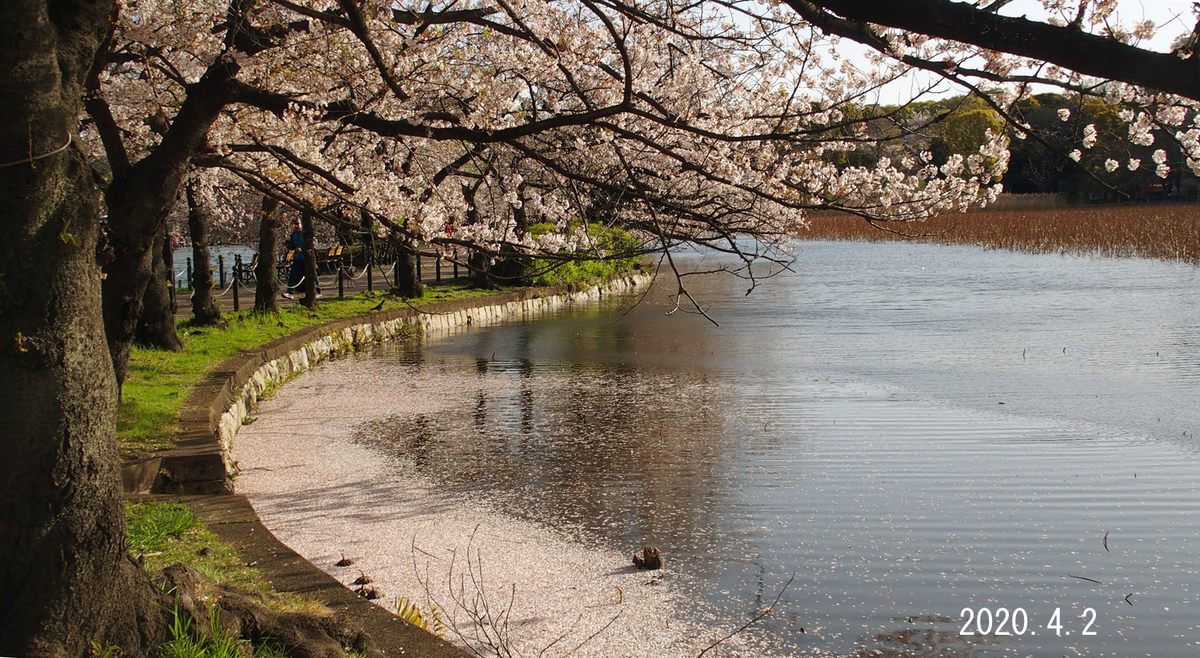 f:id:moritarou3:20200402224611j:plain