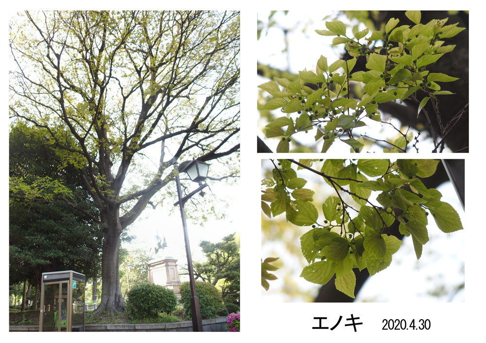 f:id:moritarou3:20200501235303j:plain