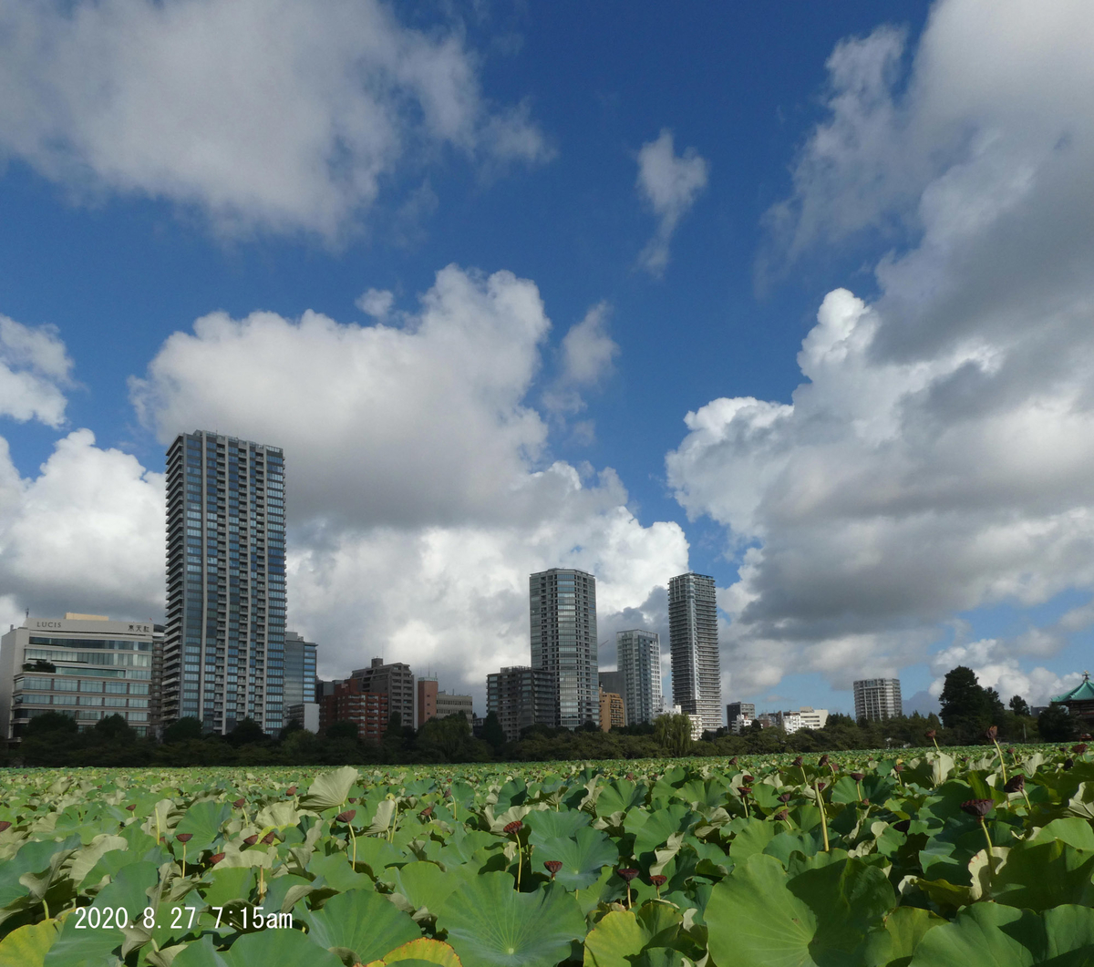 f:id:moritarou3:20200828160703j:plain