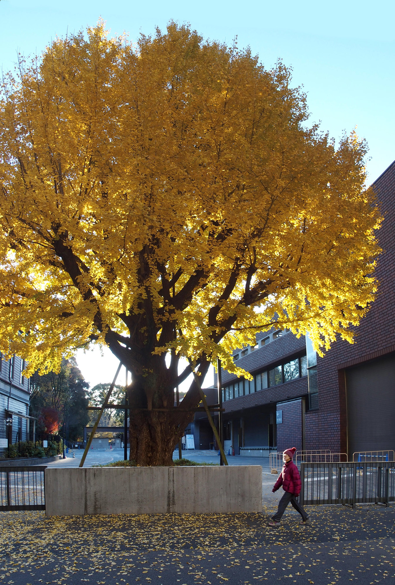 f:id:moritarou3:20201218173659j:plain