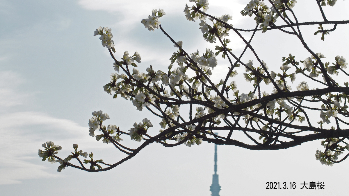 f:id:moritarou3:20210317230703j:plain