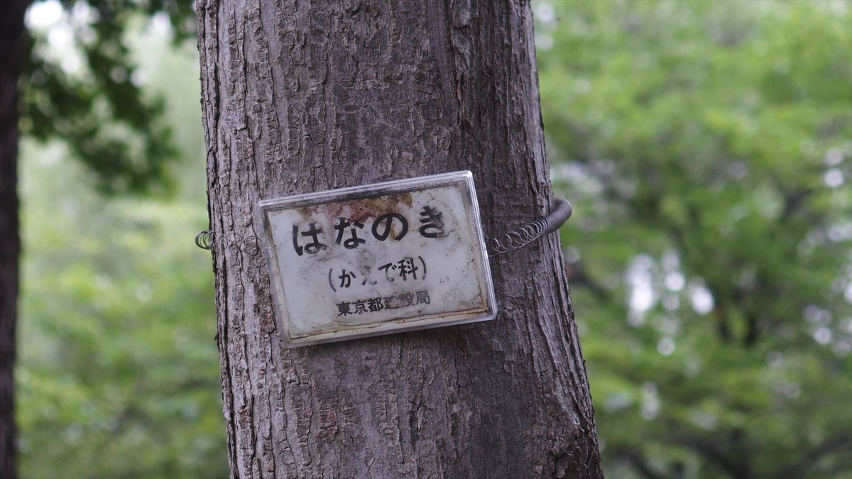 f:id:moritarou3:20210601063451j:plain