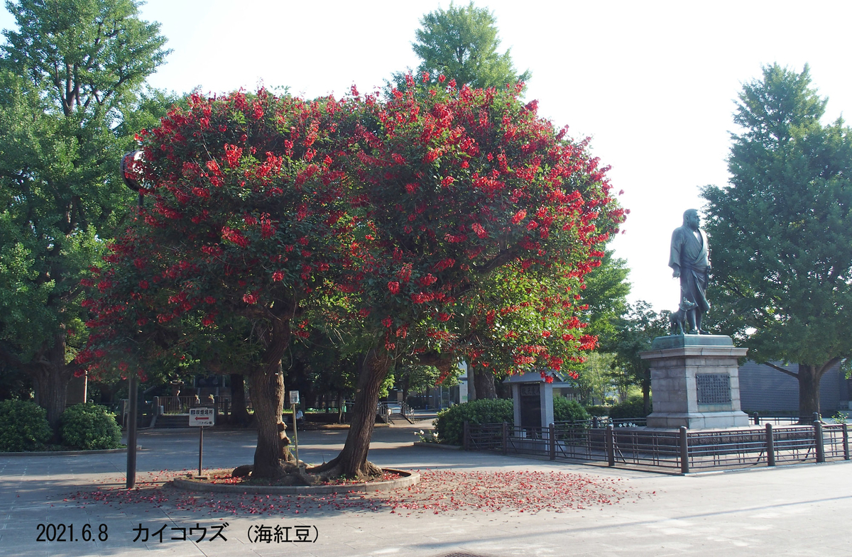f:id:moritarou3:20210608234153j:plain