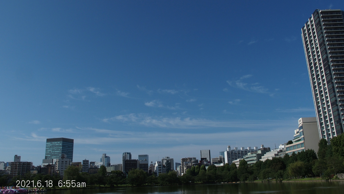 f:id:moritarou3:20210618173940j:plain