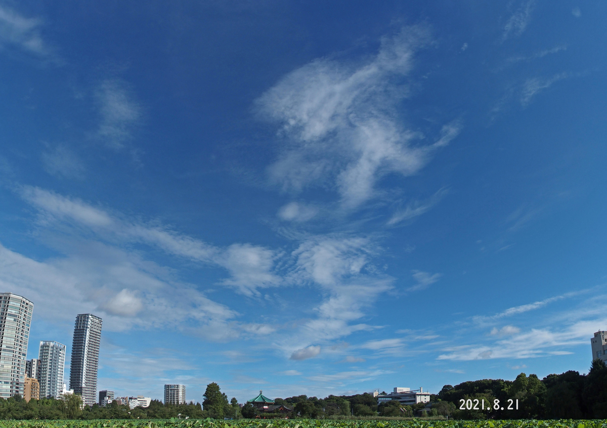 f:id:moritarou3:20210822233236j:plain