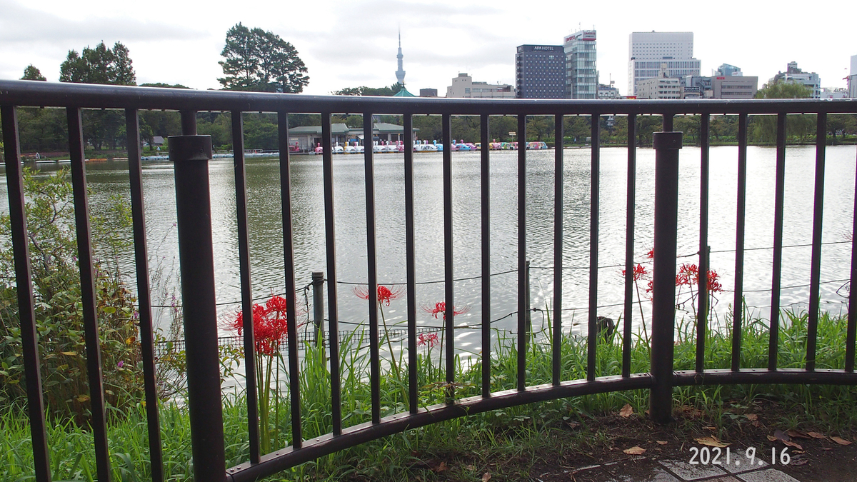 f:id:moritarou3:20210916121444j:plain